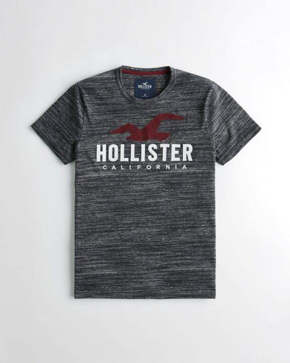 Hollister Applique Logo Graphic Tee Lazada