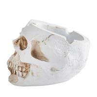 Skull Shaped เรซิ่น Ashtray s Ash คอนเทนเนอร์ฮาโลวีน Props เครื่องประดับในครัวเรือนรถ Ashtray