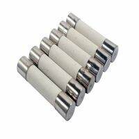 【YF】 100PCS Ceramic fuse tube 0.5A/1A/30A/2A/3A/4A/5A/6A/8A/10A/12A 15A 20A 250V 5x20MM The