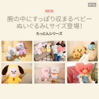 BT21 Japan LINE FRIENDS Standing Doll 50CM TATA COOKY CHIMMY KOYA SHOOKY MANG RJ Whole Body Doll