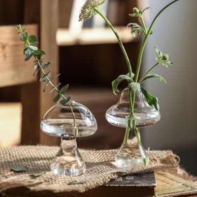 Borosilicate Mushroom Model Flower Vase Decorative Glass Hydroponics Planter Home Glassware Ornament Craft Decor Accessories