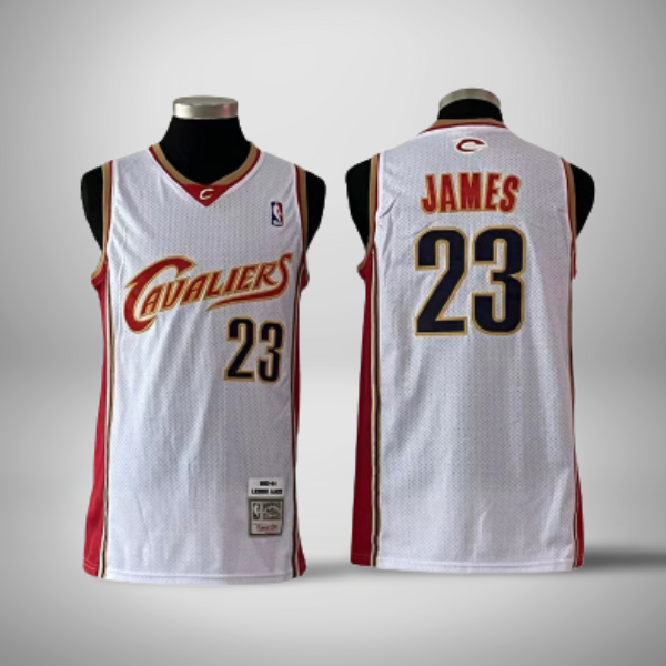 Cleveland Cavaliers #23 LeBron James Gray City Jersey