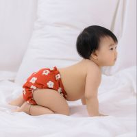 All-In-One (AIO) Diaper - FLOWER free-size