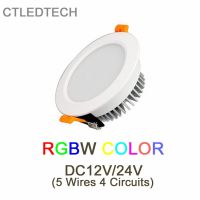 ไฟ LED RGBW DC12V ดาวน์ไลท์24V 24V12vdc อินพุต RGBW ไฟติดเพดาน RGBW 4IN 4W6W8W12W24W 1ไฟ LED