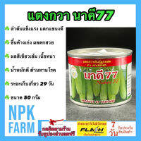 แตงกวา นาคี77 ขนาด 50 กรัม เมล็ดพันธุ์ แตงกวา ลอตใหม่ ผลสีเขียวเข้ม ขึ้นค้างเก่ง ผลดกสวย เนื้อหนา หวานกรอบ ผลยาว 13 ซม. อายุ 29 วัน npkplant