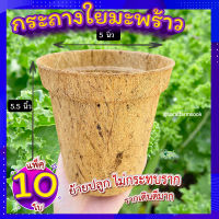 (ส่งฟรี) ?กระถางต้นไม้ 5 นิ้ว (แพ็ค 10 ใบ ) ? กระถางเพาะชํา กระถางใยมะพร้าว ระบายอากาศได้ดี รากเดินดี กระถางลดโลกร้อน ย่อยสลายได้เอง?