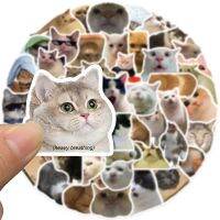 10/50PCS Cat MEME Funny Animals Stickers Vintage Toy DIY Kids Notebook Luggage Motorcycle Laptop Refrigerator Decals Graffiti