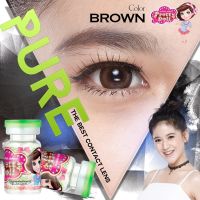 Pretty Doll Little Pure brown มินิเท่าตาจริง สายตาสั้น  powerlenses 0.00 325 250 300 600 350 275 400 50 375 75 100 125 150 175 200 225 รหัสสินค้า 045