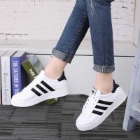 Ready Stock Shoes Sport Uni Sneakers Super Star Shoes