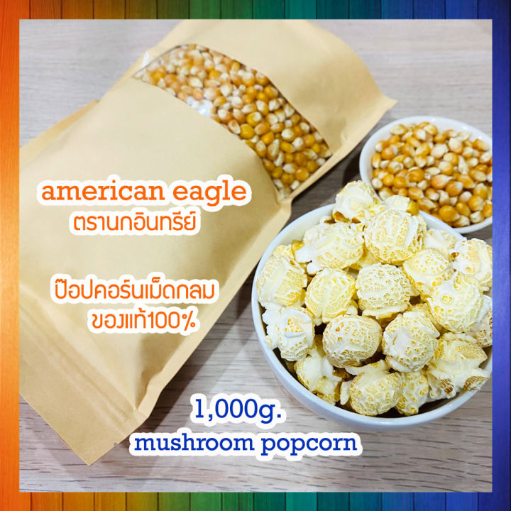 เมล็ดข้าวโพดpopcorn-เมล็ดป๊อปคอร์น-ข้าวโพดป๊อปคอน-ข้าวโพดทำป๊อปคอร์น-mushroompopcorn-ข้าวโพดมัชรูม-ป๊อบคอร์นมัชรูม-เมล็ดข้าวโพดมัชรูม-ขนาด1-000g
