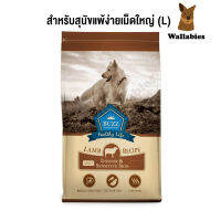 Buzz Netura Plus+ (1.2kg.) อาหารสุนัขพรีเมียม สูตรเนื้อแกะแท้ ผิวแพ้ง่าย สำหรับสุนัขโต พันธุ์กลาง-ใหญ่