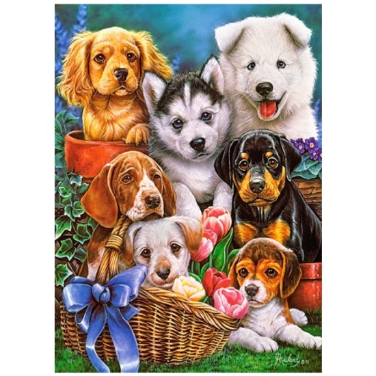 Xếp hình puzzle những chú chó con 300 mảnh castorland b-030323 - ảnh sản phẩm 1
