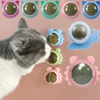 Pet Catnip Toys Edible Catnip Ball Safety Healthy Cat Mint Cats Home Chasing Game Toy Products Clean Teeth The Stomach Catmint