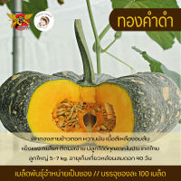 เมล็ดพันธุ์ฟักทองทองคำดำ ตราพยัคฆ์ติดปีก 100 เมล็ด  พืช ผักสวนครัว  Pumpkin seed