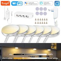 Tuya Wifi / RF Remote Control Under Cabinet LED Light CCT Light Warm White Double Color Temperature for Kitchen Closet Lighting