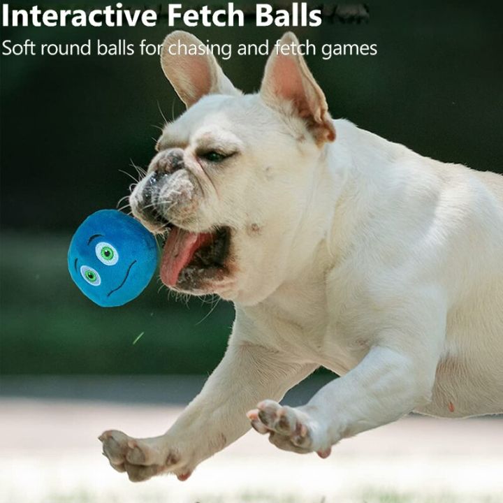ของเล่นสัตว์เลี้ยงเล่น-squeakers-ลูกบอลขบเคี้ยวของเล่น-fetch-ลูกสดใสอุปกรณ์สุนัขลูกสุนัขของเล่นยอดนิยมของเล่นแมวแบบโต้ตอบ-yy-ร้านค้า