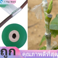 【ถูกๆ】25mm Width 100m Long Tree Tape Self-adhesive Fruit Tree Seedling Nursery Grafting Tape Plants Gardening Tools New