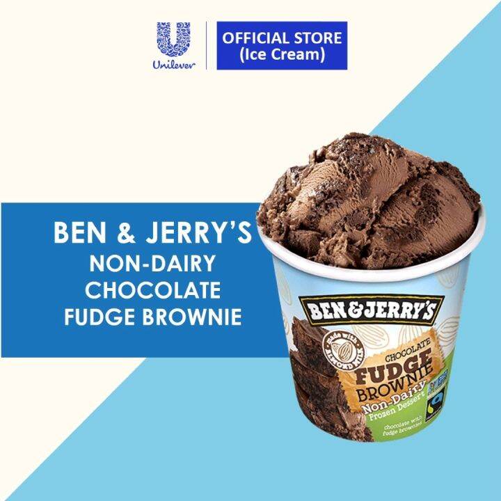 Ben & Jerry's Non-Dairy Chocolate Fudge Brownie Ice Cream Pint 473ml ...