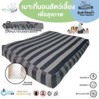 Bed Care For Pet เซทเบาะที่นอนสัตว์เลี้ยงพร้อมปลอก รุ่นสะท้อนน้ำ "สีเทาเข้ม"