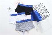 3 X Quần Lót Nữ Trung Tính LES Cotton Klein Quần An Toàn TT