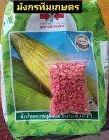 เมล็ดพันธุ์ ข้าวโพด ข้าวโพดหวาน?หมดอายุ 11/09/2566? จัมโบสวีท?แบ่งขาย??บรรจุ 1ขีด/550-600เมล็ด