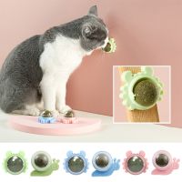 【A Smart and Cute】 Natural Catnip Cat Wall Stick-On Ball Toy Candy Licking Treats Healthy Removes Hair Balls To Promote การย่อยอาหารหญ้าขนมขบเคี้ยว