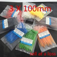 600Pcs/pack DS111 3*100mm Colorful Factory Standard Self-locking Plastic Nylon Cable Ties Wire Zip Tie Drop Shipping Russia Cable Management