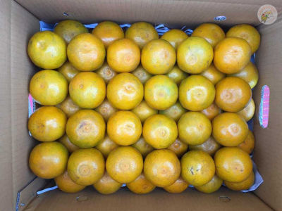 เก็บเงินปลายทาง ส้มสายน้ำผึ้ง เบอร์ 6 แท้ จากอ.ฝาง กล่อง 5 กิโล ส้ม ส้มเขียวหวาน