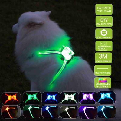 cc simon colorful dog collars Wholesale Cute Small Led Dog Safety Soft Mesh Pet Vest Harness and Leash For Outdoor
