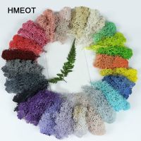 20g Simulation Plants Eternal Life Moss / Garden Home Decor Wall DIY Flower Material Mini Garden Micro Landscape Accessories Spine Supporters