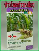 เมล็ดพันธุ์ ข้าวโพดข้าวเหนียว ลูกผสม 3สี รสชาติเหนียวนุ่ม ปลูกง่าย โตไว ฝักดก ต้นแข็งแรง น้ำหนักดี ผลผลิตสูง