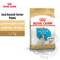 Royal Canin Jack Russell Puppy อาหารสำหรับลูกสุนัขพันธุ์แจ็ค รัสเซล ช่วงหย่านม-10เดือน ขนาด1.5กก.