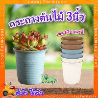 กระถางปลูกต้นไม้ ทรงกลม ใบเล็ก ? Tree O ขนาด 3นิ้ว (เซต 6ใบ) คละสี รุ่น 6PY057-MX กระถางต้นไม้ กระถาง กระถางพลาสติก อย่า