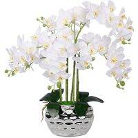 hotx【DT】 1Pc Accessories Silk Artificial Orchid Phalaenopsis Feel Film Wedding Flowers Photography Props Pot