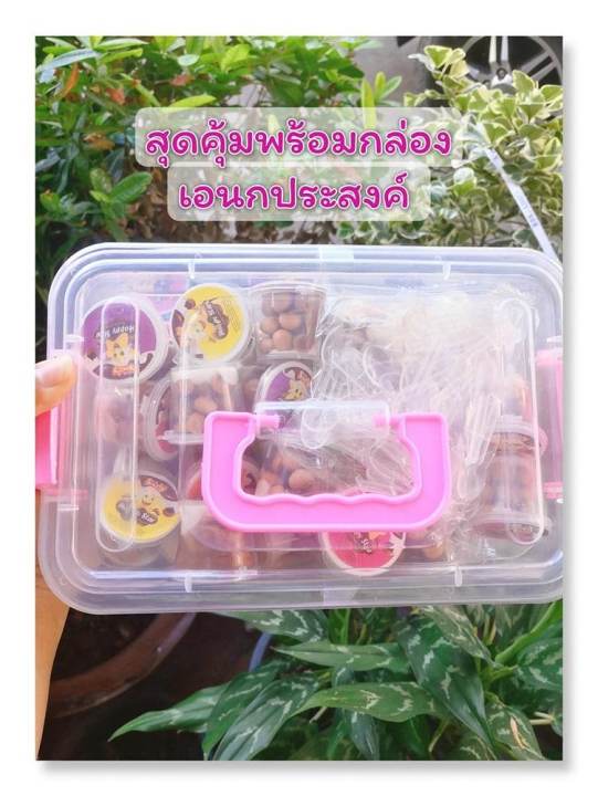 ช็อกโกแลต-ถ้วย-50-ถ้วย-อร่อย-กรอบ-เด็กๆชอบ-คูปองส่งฟรี