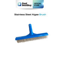 PoolBestBuy แปรงขัดสระสแตนเลส 10 นิ้ว (Stainless Steel Algae Brush)