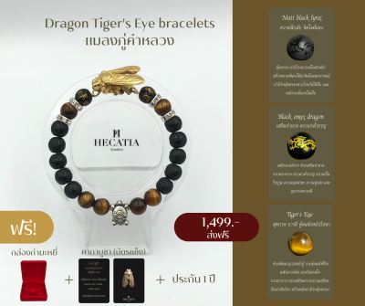 HECATIA - กำไรสายมู Dragon Tigers Eye bracelets แมลงภู่คำหลวง นำโชค เเถมคาบูชา + กล่องกำมะหยี่ ส่งฟรี