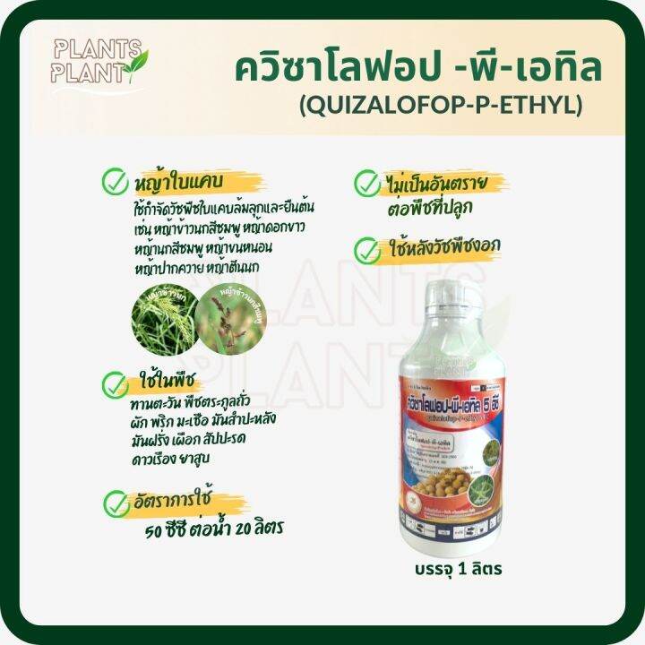 ควิซาโลฟอป-พี-เทฟูริล-1l-quizalofop-p-tefuryl-สารกำจัดหญ้าใบแคบในพืชใบกว้าง-ใช้กำจัดหญ้านกสีชมพู-หญ้าข้าวนก-หญ้าปากควาย-หญ้าขจรจบ-หญ้าตีนกา