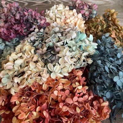 6.5g/About 3 4CM Flower PetalReal Natural Fresh Preserved Flowers Dried Wood Hydrangea Flower HeadEternal Big-Leaf Hydrangeas