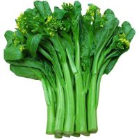 50 Choi Sum, เมล็ดผัก [ไม่ใช่พืช! เป็นเมล็ดพันธุ์] [คลังสินค้าจุด][ขายตรงจากโรงงาน][ของแท้อย่างเป็นทางการ][โปรโมชั่นลดราคา][50 เมล็ดพันธุ์][เมล็ดผลไม้][เมล็ดพันธุ์ผัก][อร่อยจัง][ปลอดภัย][คลังสินค้าจุด][ผลผลิต89%][ความดีงาม]