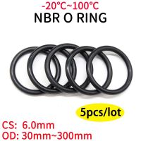 ปะเก็นซีลวงแหวน Nbr O Ring หนา Cs 6Mm Od 30 ~ 300มม. สเปเซอร์ยางไนไตรล์บิวทาไดอีนตัวต้านทานน้ำมันเครื่องซักผ้าทรงกลมสีดำ5ชิ้น