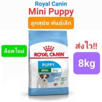 Exp.10/24 Royal Canin Mini Puppy 8kg exp10/24 อาหารสุนัข โรยัลคานิน ลูกสุนัข พันธุ์เล็ก 8 กิโลกรัม