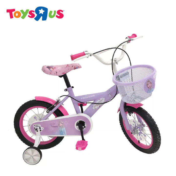 frozen bicycle basket