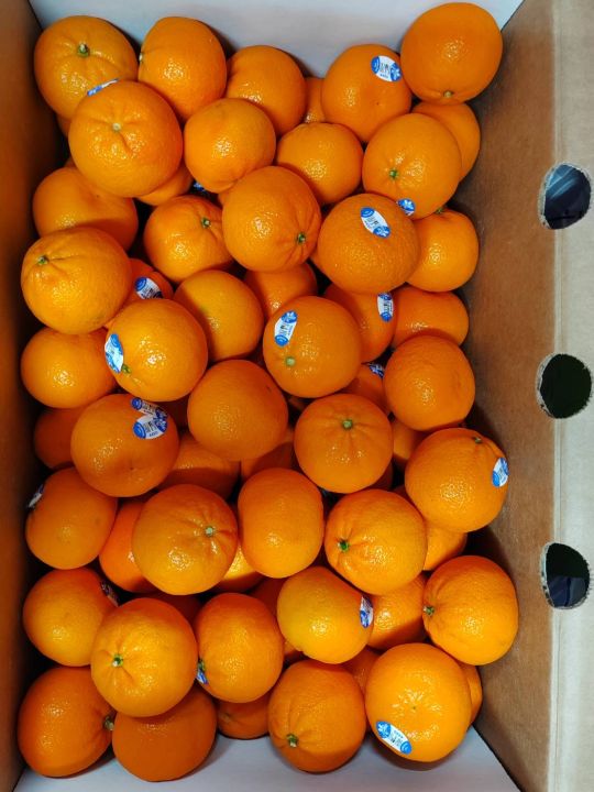 ส้ม-ส้มจิ๋ว-ส้มแมนดารินจิ๋ว-น้ำหนักชั่งรวมลัง-9-กิโลกรัม