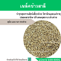 เมล็ดข้าวสาลี (แบ่งขาย 200-500G.) สุนัข แมว นก กระต่าย