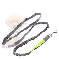 Reflective Running Dog Leash Traction Rope Free hands Dog Leash Pull dog Retractable Elastic Belt Harnesses Dog Pet supplies