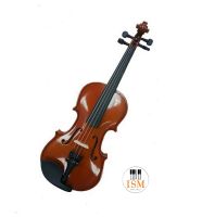 Aileen Antonius ไวโอลิน ขนาด 4/4 Violin 4/4 รุ่น VG-001