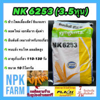 ข้าวโพดเลี้ยงสัตว์ เอ็นเค NK 6253 เบอร์2 (3.5 หุน) ขนาด 10 กิโลกรัม ซินเจนทา หมดอายุ 12-2567 เมล็ดกลมกลาง ลอตใหม่ งอกดี ทนแล้ง ทนโรค ผลผลิตสูง