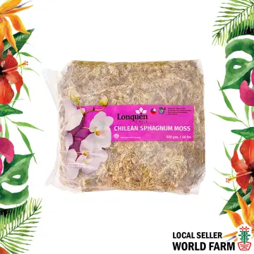 500g Chilean Sphagnum Moss Great for Orchids and Terrariums 
