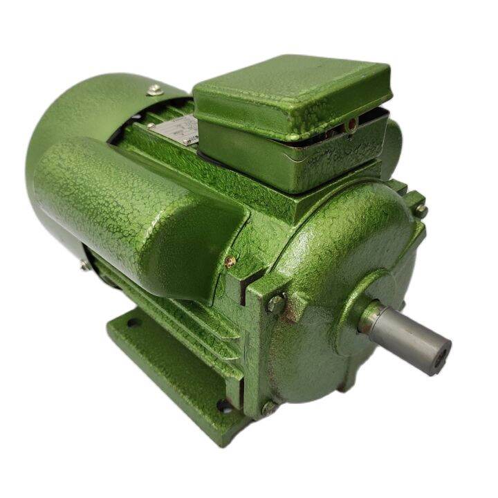 DENSUI YC80B4 Single Phase Induction Electric Motor 0.5 HP (Aluminum